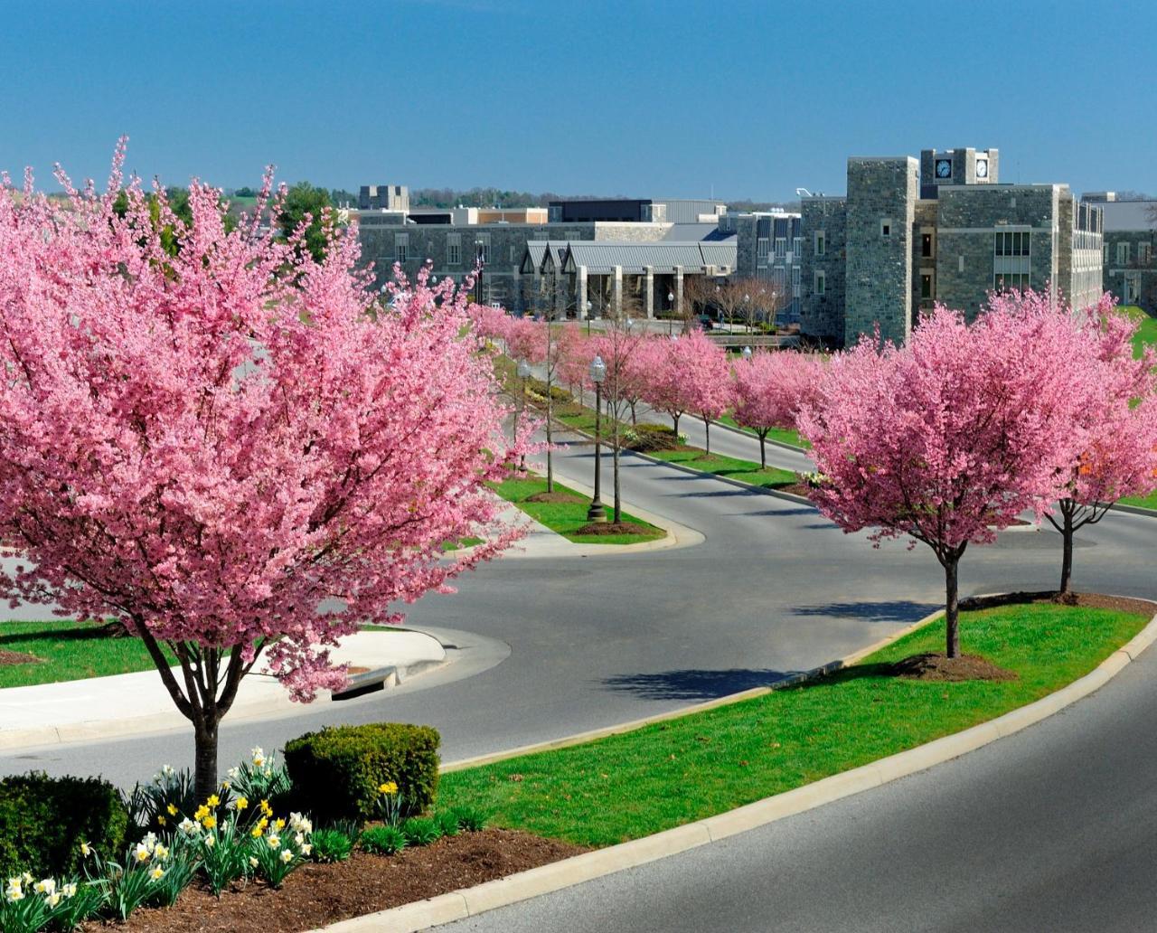 The Inn At Virginia Tech - On Campus بلاكسبورغ المظهر الخارجي الصورة